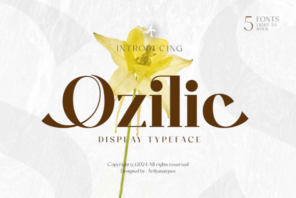 A Designer's Take on the Ozilic Serif Font for Modern Branding