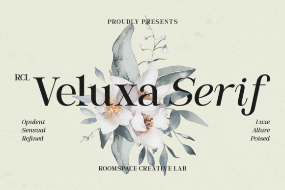 A Professional Review of the Veluxa Serif Typeface