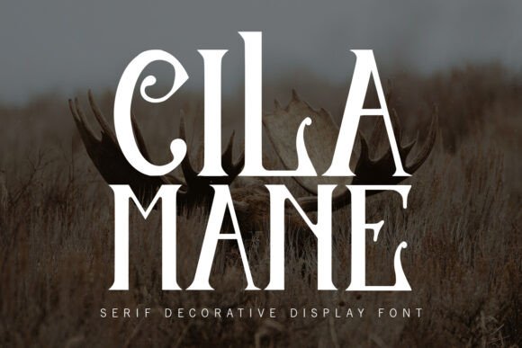 Cilamane: A Serif Font for Elegant Marketing Campaigns