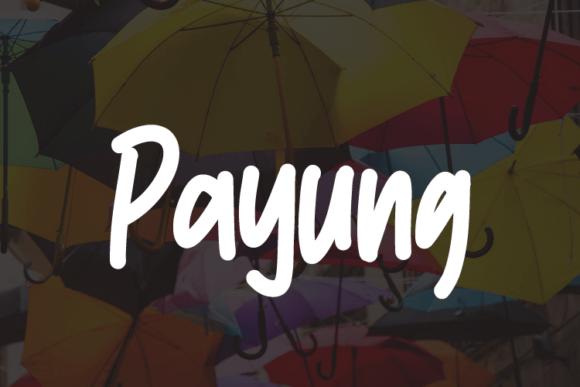 Payung: A Modern Elegant Font for Creative Products